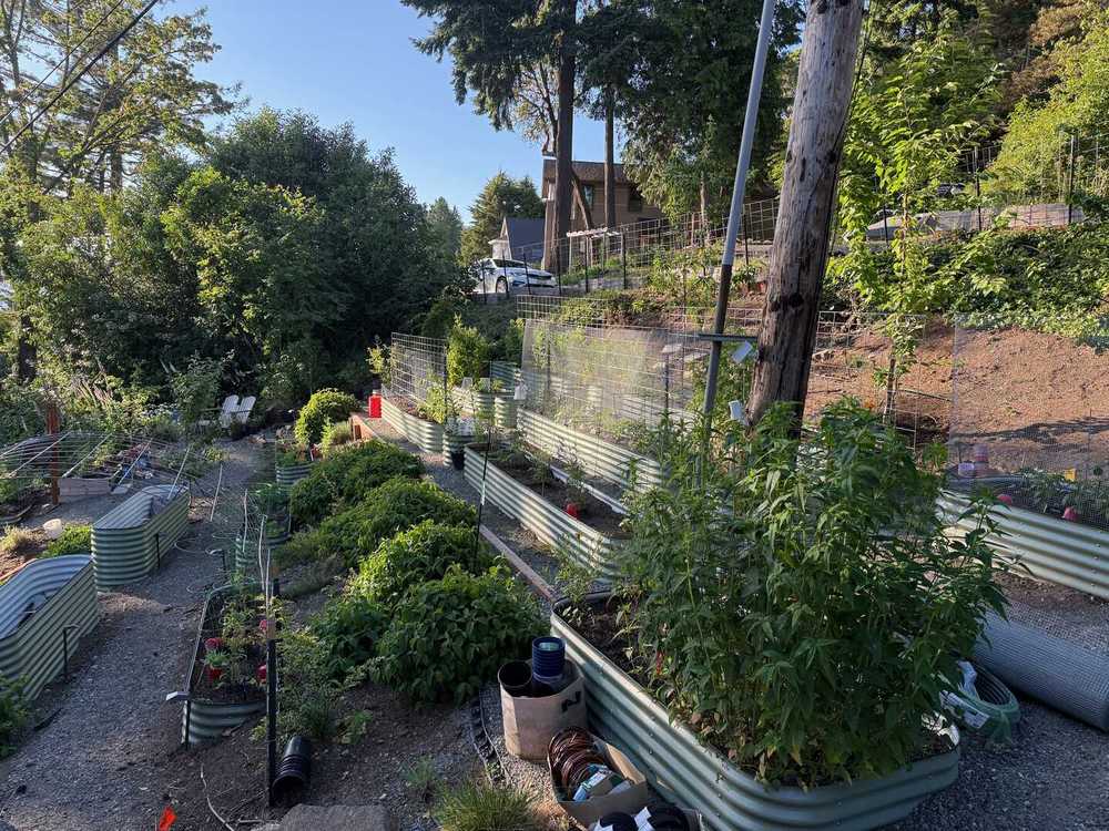 Raised beds