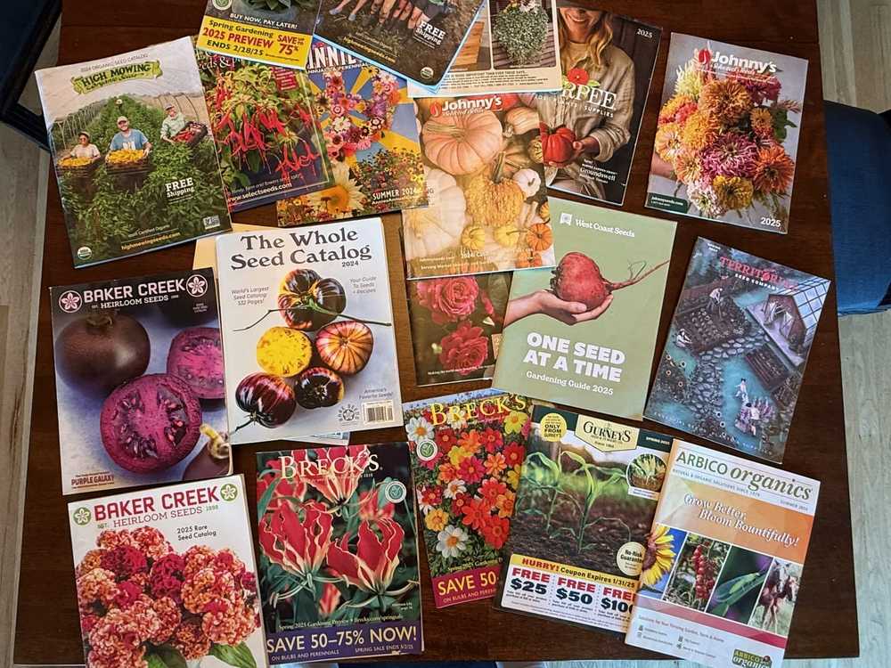 Seed catalogs on a table